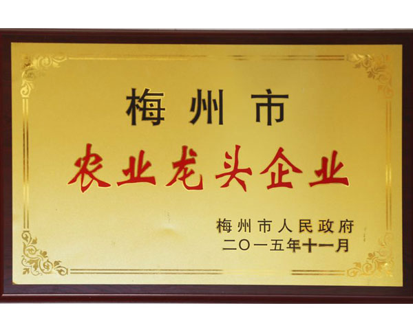梅州市農業龍頭企業