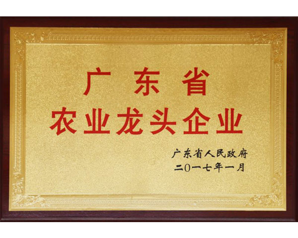 廣東省農業龍頭企業